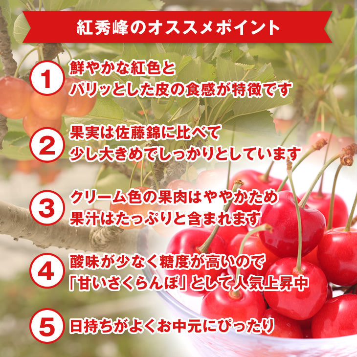 早期予約 さくらんぼ 紅秀峰 ご家庭用 山形県産さくらんぼ（紅秀峰）約１kgバラ詰め