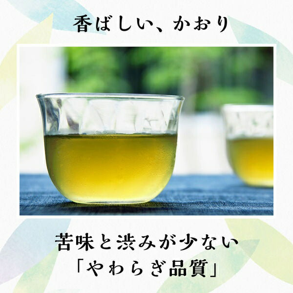 【送料無料】伊藤園 茶の間 500ml×1ケース/24本