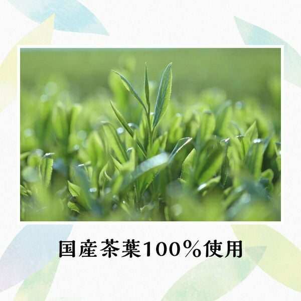 【送料無料】伊藤園 茶の間 2000ml 2L×1ケース/6本