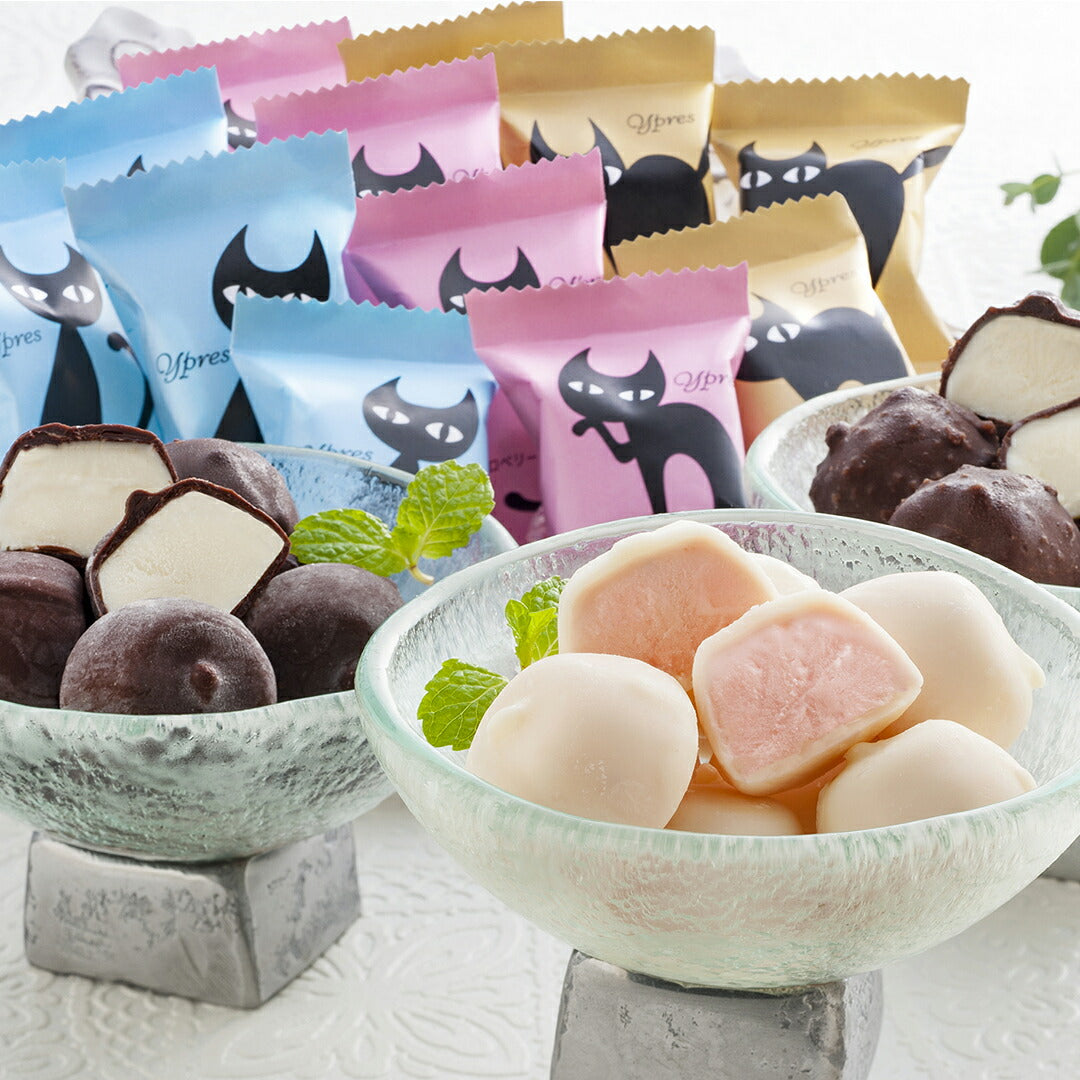 イーペルの猫祭り プチチョコアイス プチアイス 3種 40個 バニラ クランチ ストロベリー 猫 スイーツ アイスクリーム ストロベリー いちご バニラ チョコ おやつ 手土産 ギフト 贈り物 お取り寄せ グルメ 暑中 残暑 母 ランキング 人気 おすすめ ※代引・離島配送不可