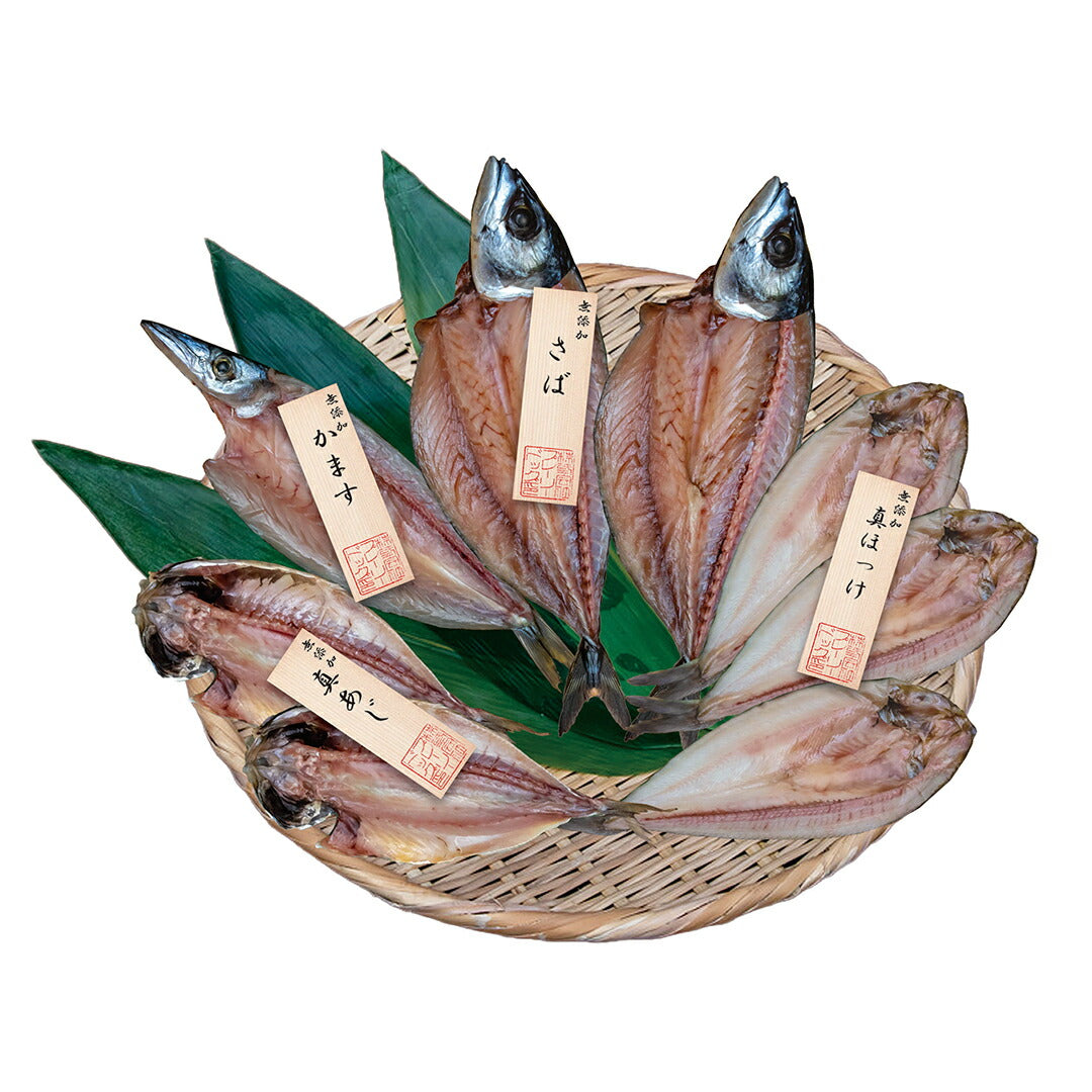 ★非掲載★五島灘の塩 国産無添加干物8尾詰合せ 長崎 魚 鯖 鯵 ほっけ かます おつまみ 酒の肴 お取り寄せ グルメ ギフト 贈り物 中元 歳暮 暑中 残暑 父 母 おかず ランキング 人気 詰め合わせ おすすめ ※代引不可