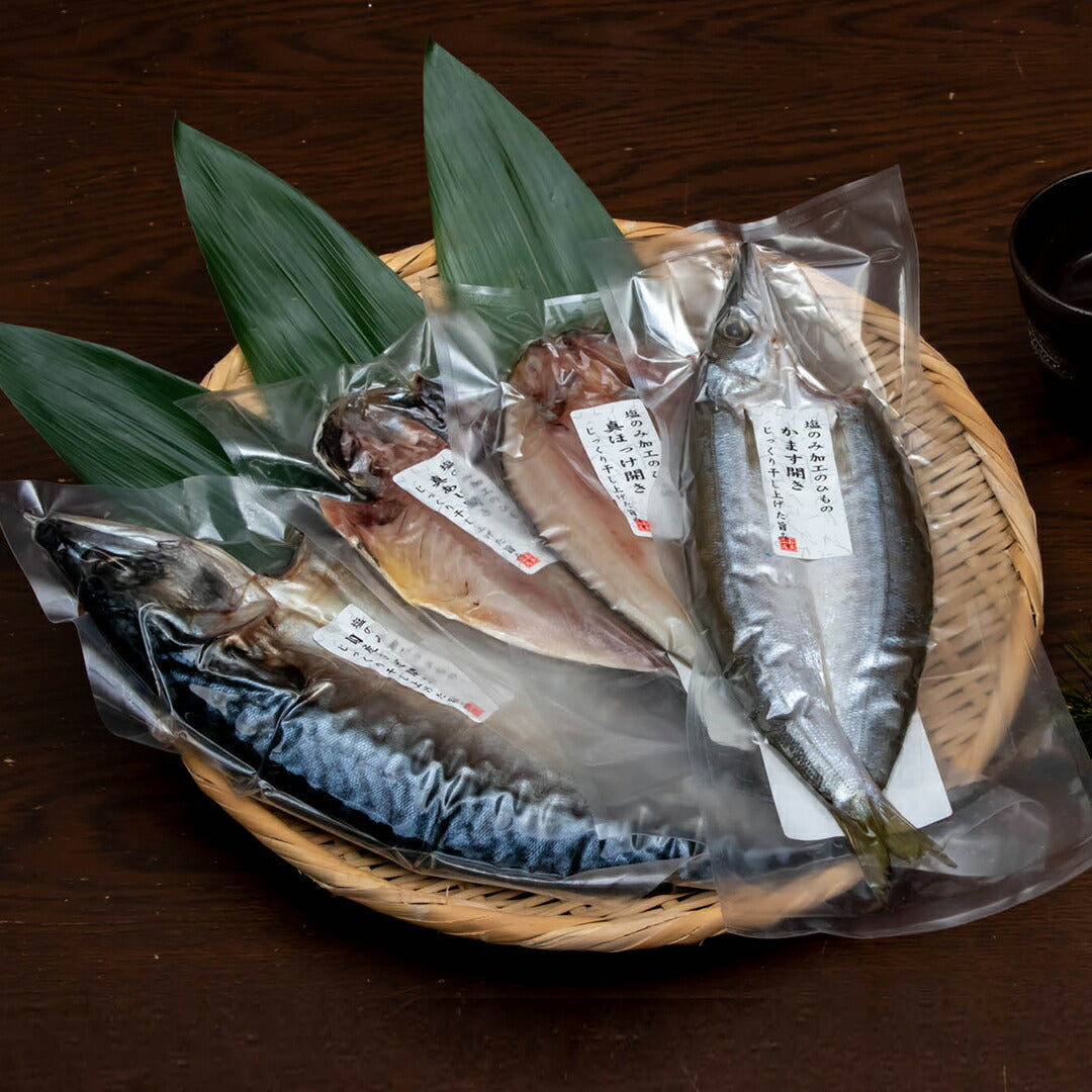 ★非掲載★五島灘の塩 国産無添加干物10尾詰合せ 長崎 魚 鯖 鯵 ほっけ かます おつまみ 酒の肴 お取り寄せ グルメ ギフト 贈り物 中元 歳暮 暑中 残暑 父 母 おかず ランキング 人気 詰め合わせ おすすめ ※代引不可