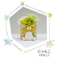 ★非掲載★ フラワー わんこ&にゃんこ フラワーアレンジ プリザーブドフラワー いぬ ねこ かわいい 手のり ミニチュア 小さい 動物 小物 飾り 置き物 バラ ソーラーローズ アジサイ かすみ草 ギフト 贈り物 誕生日