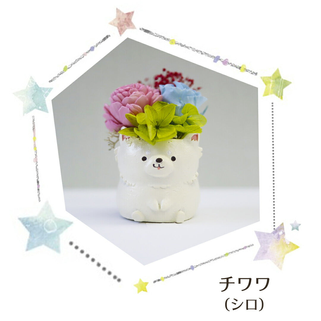 フラワーアレンジ プリザーブドフラワー わんこ&にゃんこ 【ミニチュアダックスA モカ】