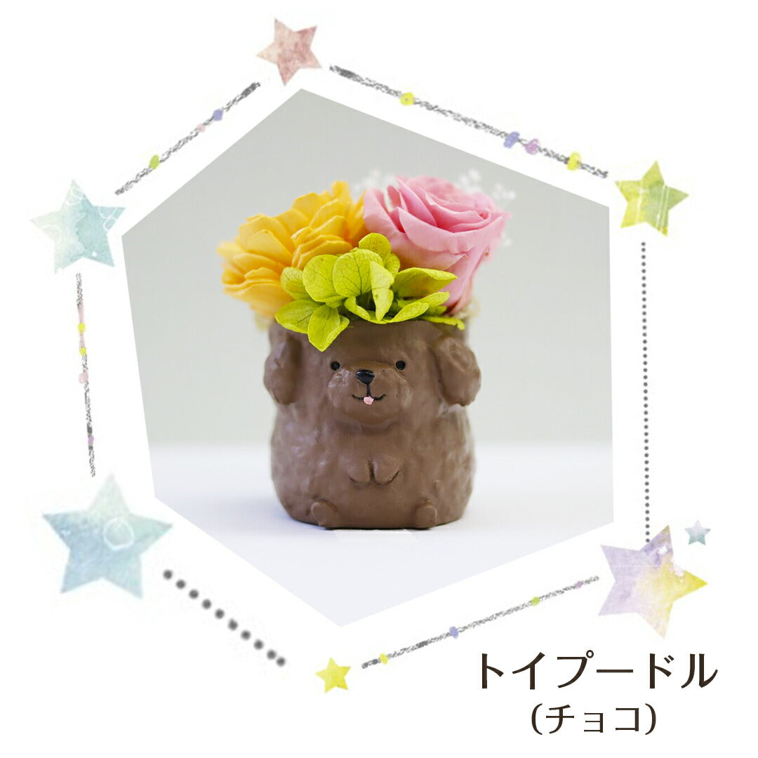 ★非掲載★ フラワー わんこ&にゃんこ フラワーアレンジ プリザーブドフラワー いぬ ねこ かわいい 手のり ミニチュア 小さい 動物 小物 飾り 置き物 バラ ソーラーローズ アジサイ かすみ草 ギフト 贈り物 誕生日
