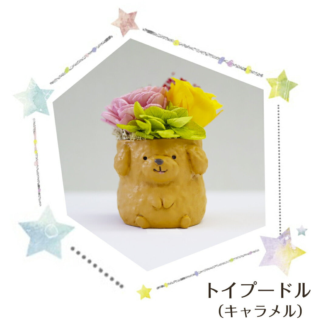 フラワーアレンジ プリザーブドフラワー わんこ&にゃんこ 【チワワB シロ】