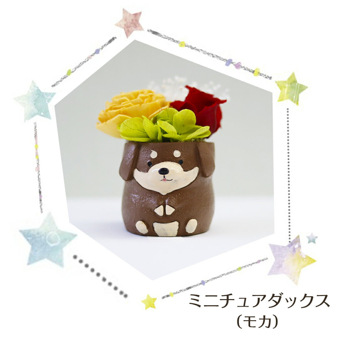フラワーアレンジ プリザーブドフラワー わんこ&にゃんこ 【チワワB シロ】