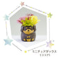 フラワーアレンジ プリザーブドフラワー わんこ&にゃんこ 【にゃんこB おはぎ】