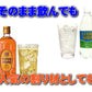 友桝飲料 クラブソーダレモン（炭酸水) 500ml ペットボトル 24本入 〔炭酸飲料〕