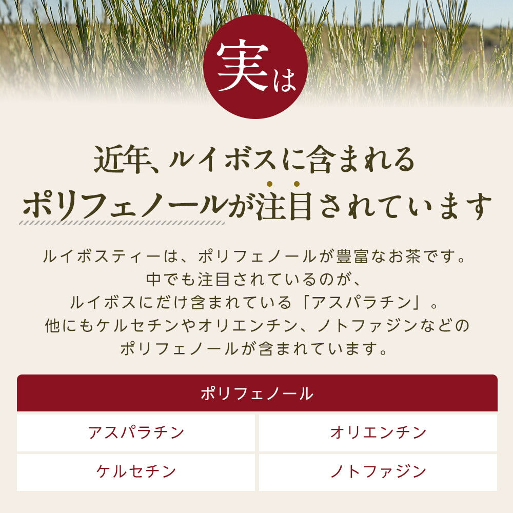 オーガニック ルイボスティー セダーマウンテン ティーバッグ 100包  【送料無料】有機JAS メガ盛り ノンカフェイン 妊活 お茶 ハーブティー ルイボス ルイボス茶 紅茶 温活 マタニティ 100個入り ティーパック【エコ得リリースSALE】