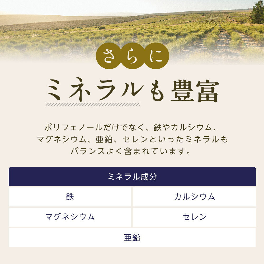 オーガニック ルイボスティー セダーマウンテン ティーバッグ 100包  【送料無料】有機JAS メガ盛り ノンカフェイン 妊活 お茶 ハーブティー ルイボス ルイボス茶 紅茶 温活 マタニティ 100個入り ティーパック【エコ得】