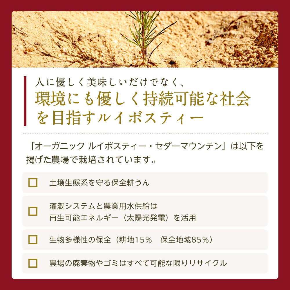 オーガニック ルイボスティー セダーマウンテン ティーバッグ 100包  【送料無料】有機JAS メガ盛り ノンカフェイン 妊活 お茶 ハーブティー ルイボス ルイボス茶 紅茶 温活 マタニティ 100個入り ティーパック【エコ得リリースSALE】