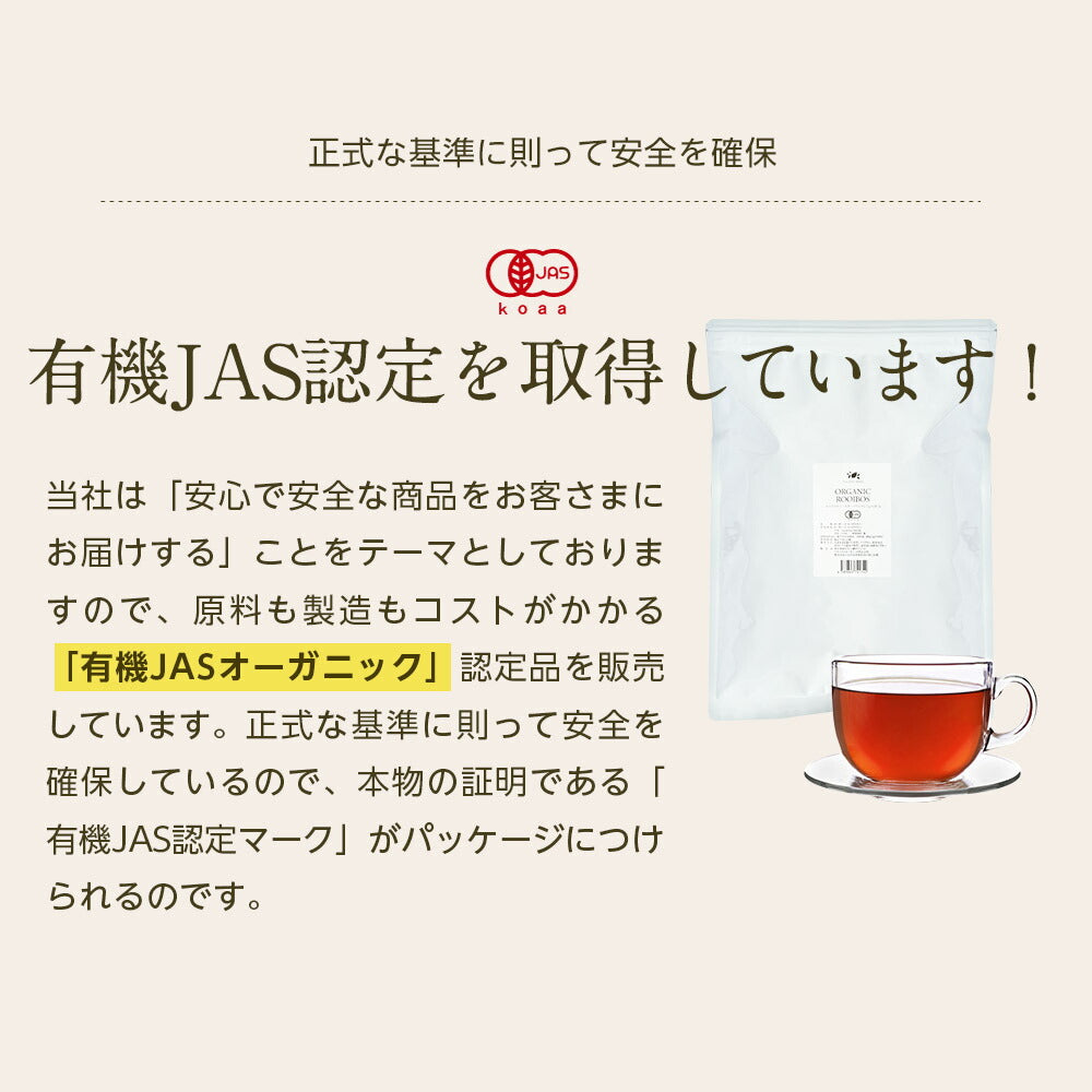 オーガニック ルイボスティー セダーマウンテン ティーバッグ 100包  【送料無料】有機JAS メガ盛り ノンカフェイン 妊活 お茶 ハーブティー ルイボス ルイボス茶 紅茶 温活 マタニティ 100個入り ティーパック【エコ得リリースSALE】