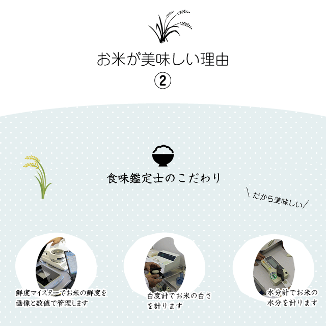 ギフトお米ギフト2kg5種計10kgギフト5種2kg5袋セット