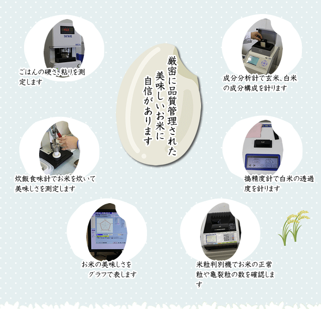 ギフトお米ギフト2kg5種計10kgギフト5種2kg5袋セット