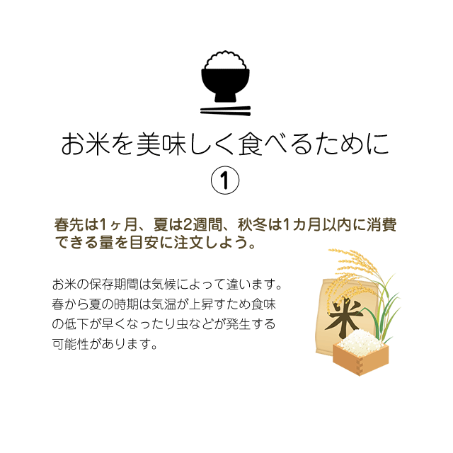 ギフト特Aランクさがびより佐賀米令和2年産さがびより2kg佐賀県白石産