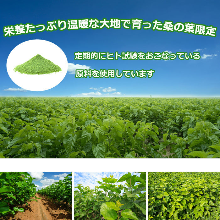 【5人シェア買いでお得】純100％ 桑の葉粒 サプリメント 『福袋 ３個セット+1個無料』