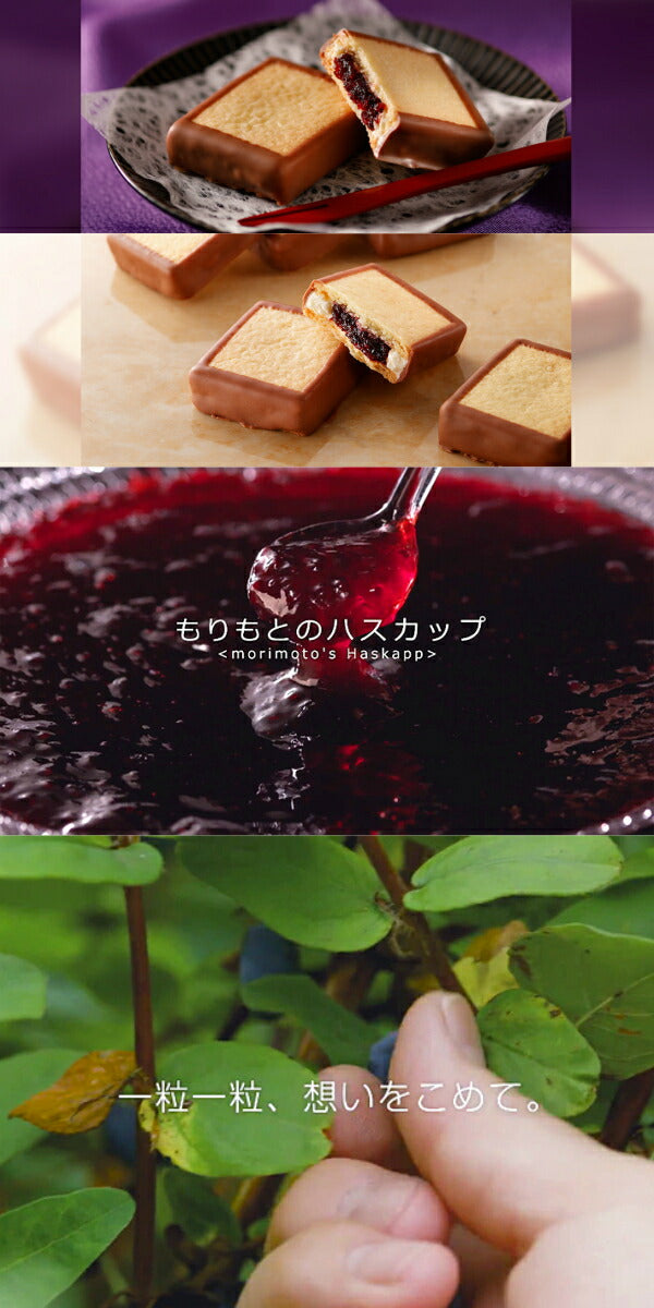 ハスカップジュエリー 2個入 2個セット 送料無料 もりもと 北海道  千歳 お菓子 スイーツ 人気 ミックスジャム バタークリーム チョコレート クッキー