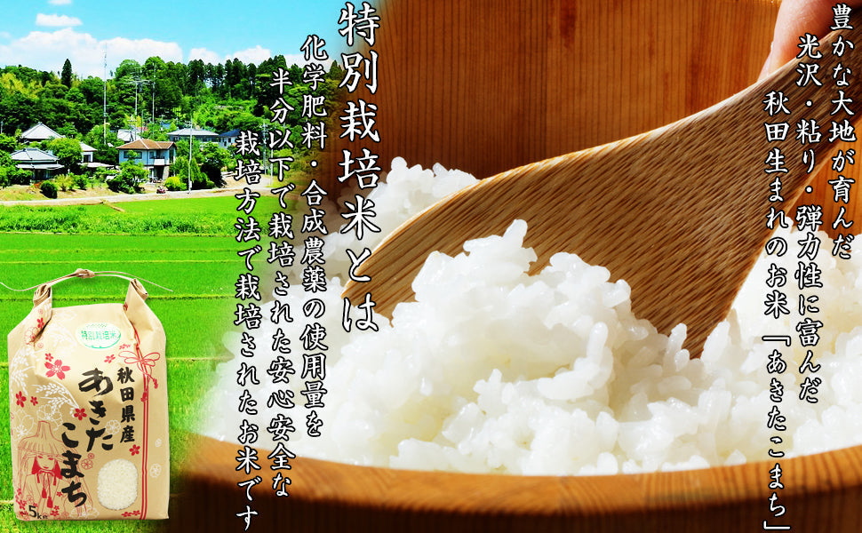 【精米】令和4年産　秋田県特別栽培農産物認証米 特別栽培米　秋田県産あきたこまち　20ｋｇ 5kg×4袋
