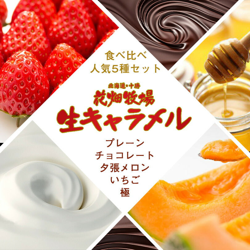 花畑牧場　生キャラメル5種セット【プレーン チョコ メロン いちご 極】 送料無料 北海道産 スイーツ 手造り とろける プレゼント 贈り物 お土産 手土産 ギフト モンドセレクション受賞 送料込