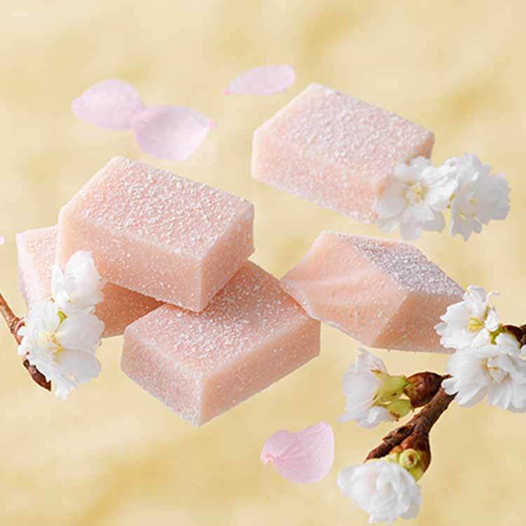 ホワイトデー ロイズ 生チョコレート 桜フロマージュ ROYCE 期間限定 北海道 人気 定番 お菓子 お取り寄せ スイーツ 生チョコ 生クリーム  チョコレート クリスマス ホワイトデー