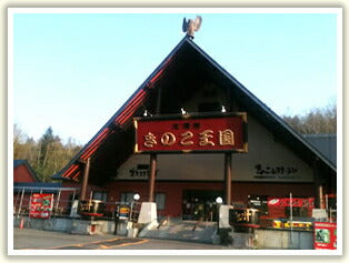 北海道きのこ王国 釜めしの素 三合用×3個セット 送料無料 メール便 プレゼント ギフト お土産