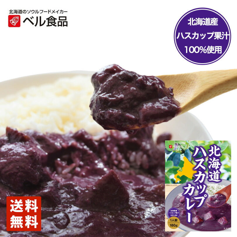 ベル食品 北海道 ハスカップカレー 帰れマンデー 送料無料 メール便 レトルト カレー プレゼント お土産 手土産