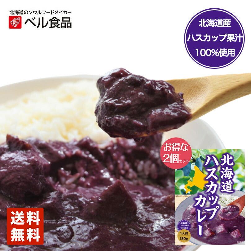 ベル食品 北海道 ハスカップカレー 2個セット 送料無料 メール便 レトルト カレー プレゼント お土産 手土産