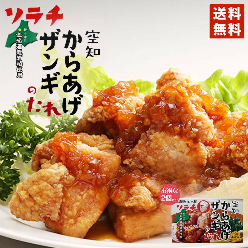 ソラチからあげザンギのたれ 160g（40g×４袋）×2個セット メール便 ソラチ お土産 プレゼント ギフト 北海道のたれ屋 人気 お手軽 グルメ
