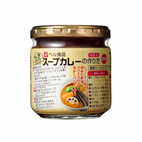 カレー スープカレーの作り方 中辛 180g 10個セット 送料無料  北海道限定 お取り寄せ 自宅