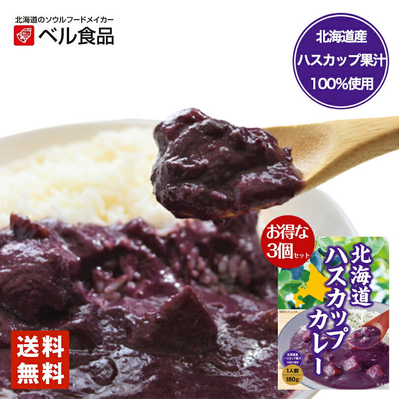 ベル食品 北海道 ハスカップカレー ３個セット 帰れマンデー 送料無料 プレゼント お土産 カレー レトルト 手土産