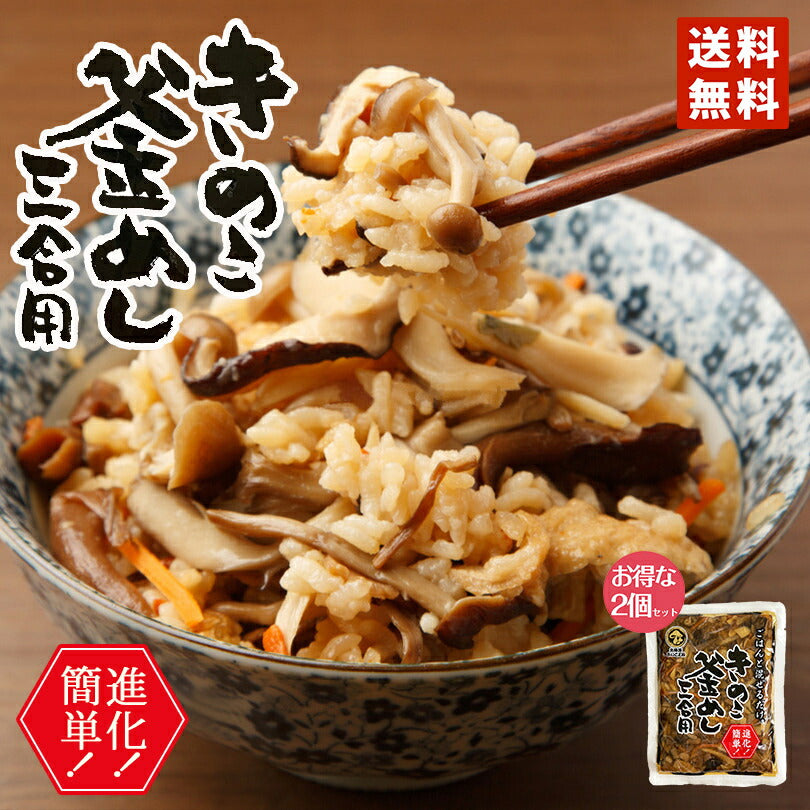 北海道きのこ王国 釜めしの素 三合用×2個セット 送料無料 メール便 プレゼント ギフト お土産