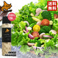 北海道ドレッシング 山わさび＆チーズ 180ml 2個セット 送料無料 北海道 ドレッシング 山わさび チーズ サラダ 料理 野菜 シーザー お土産 ギフト プレゼント 贈り物