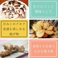 1kg 青森県田子町産 乾燥にんにく 福地ホワイト六片 Mサイズ Ｂ品 エコファーマー認定
