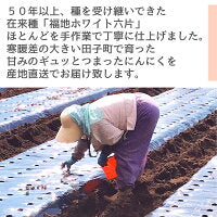 1kg 田子町産 乾燥バラにんにく 福地ホワイト六片 サイズ混合 2020年産