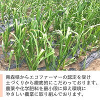1kg 田子町産 乾燥バラにんにく 福地ホワイト六片 サイズ混合 2020年産