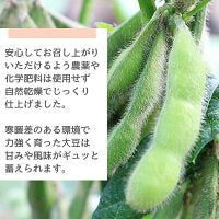 500g 八戸市南郷産 乾燥大豆 農薬・化学肥料不使用