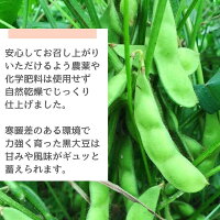 500g 五戸町産 乾燥黒大豆 農薬・化学肥料不使用