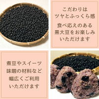500g 五戸町産 乾燥黒大豆 農薬・化学肥料不使用