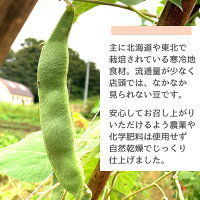 500g 八戸産 乾燥紫花豆 農薬・化学肥料不使用 2020年産