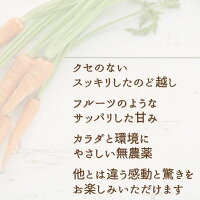 500ml×2本 100%にんじんジュース カルテット1.0 ギフト ストレートタイプ