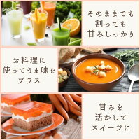 500ml×2本 100%にんじんジュース カルテット1.0 ギフト ストレートタイプ