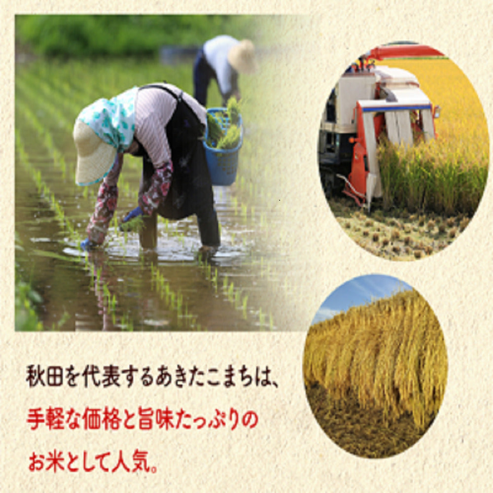 【タイムセール】新米！あきたこまち 10kg（5ｋｇ×2袋）家計お助け米 令和4年産【最安値に挑戦】