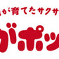 じゃがポックル ストラップ 送料無料 送料込み カルビー ポテトファーム 北海道 人気 プレゼント お土産 贈り物 ギフト 人気  銘菓 限定 ポイント消化
