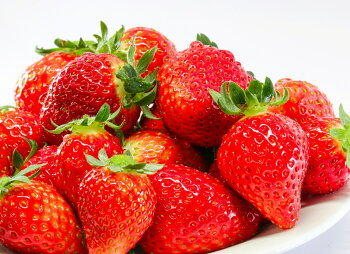 North Farm Stock 北海道いちごバタージャム 130ｇ ×3個セット 送料無料 ノースファームストック 北海道 苺 イチゴ ハンドメイド ギフト プレゼント お土産
