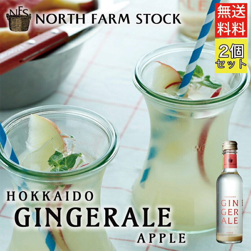 北海道ジンジャーエール（アップル）２００ml ×2個セット 送料無料　北海道　北海道産　炭酸飲料水　お土産　ギフト