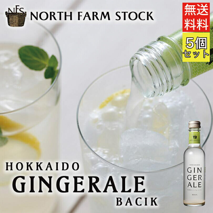 北海道ジンジャーエール　ベーシック　２００ml ×5個セット 送料無料　北海道　北海道産　炭酸飲料水　お土産　ギフト