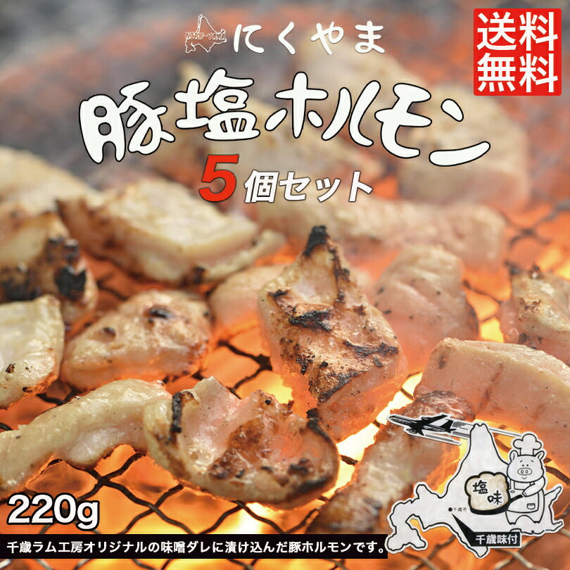 4000円ポッキリ 豚塩ホルモン 220g ×5袋セット 送料無料 千歳ラム工房 北海道  焼肉 BBQ バーべキュー ホルモン 塩 お土産 プレゼント ギフト お取り寄せ 肉の山本