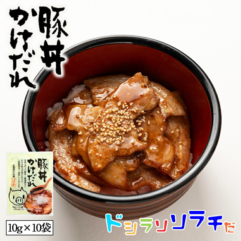 ソラチ 十勝 豚丼かけだれ 100g 2個セット 送料無料 送料込 豚丼のタレ 北海道 タレ 豚丼 丼 専用 万能 BBQ 焼肉 簡単 便利 ご家庭で お弁当 人気 お土産 手土産 贈り物 ギフト