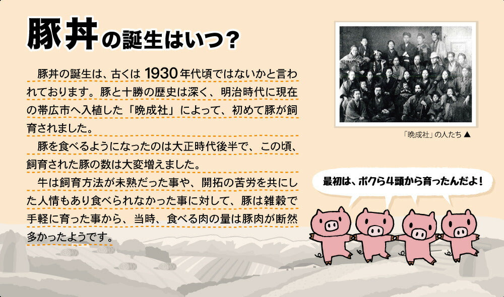 ソラチ 十勝 豚丼いっぴん監修 豚丼のたれ 240g 5個セット 送料無料 送料込 北海道 タレ 豚丼 丼 専用 万能 BBQ 焼肉 簡単 便利 ご家庭で お弁当 人気 お土産 手土産 贈り物 ギフト